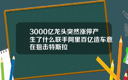 3000亿龙头突然涨停产生了什么联手阿里百亿造车意在狙击特斯拉
