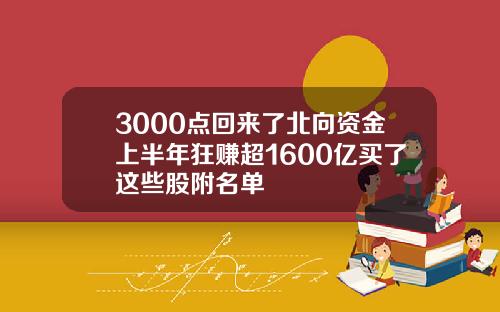 3000点回来了北向资金上半年狂赚超1600亿买了这些股附名单