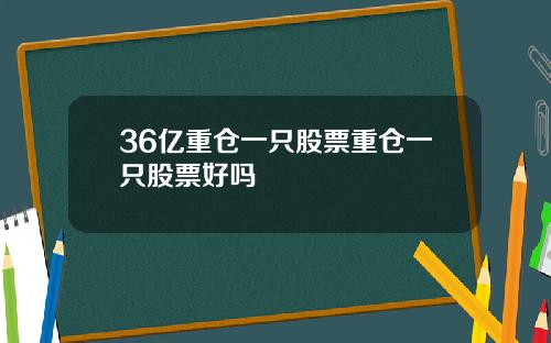36亿重仓一只股票重仓一只股票好吗