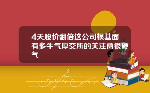 4天股价翻倍这公司根基面有多牛气厚交所的关注函很硬气