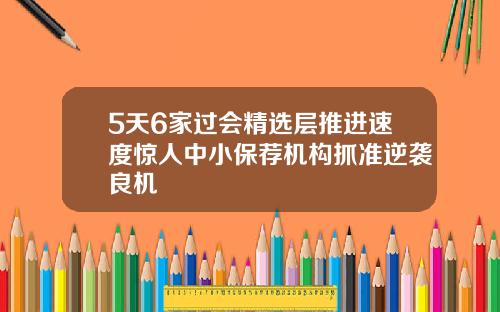5天6家过会精选层推进速度惊人中小保荐机构抓准逆袭良机