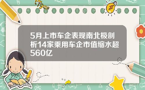 5月上市车企表现南北极剖析14家乘用车企市值缩水超560亿