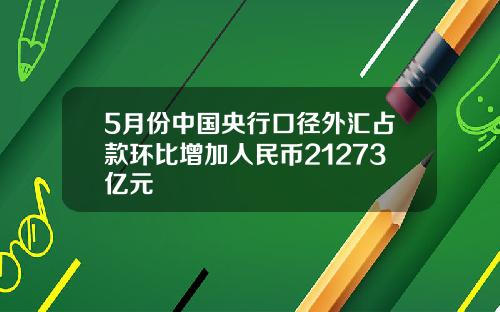 5月份中国央行口径外汇占款环比增加人民币21273亿元