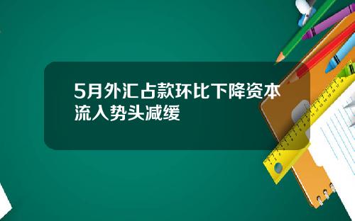 5月外汇占款环比下降资本流入势头减缓