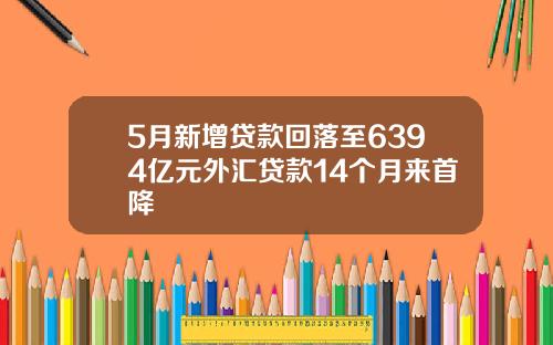 5月新增贷款回落至6394亿元外汇贷款14个月来首降