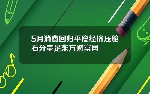 5月消费回归平稳经济压舱石分量足东方财富网
