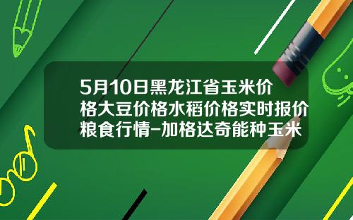 5月10日黑龙江省玉米价格大豆价格水稻价格实时报价粮食行情-加格达奇能种玉米么收多少斤