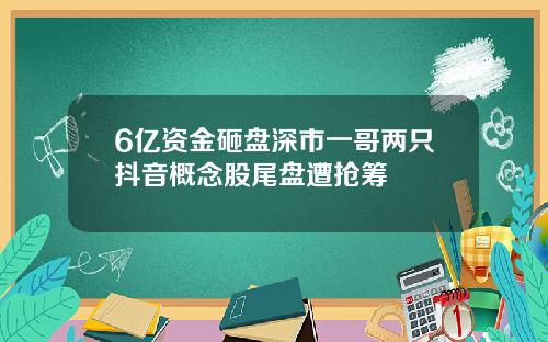 6亿资金砸盘深市一哥两只抖音概念股尾盘遭抢筹