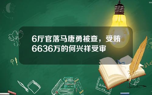 6厅官落马唐勇被查，受贿6636万的何兴祥受审