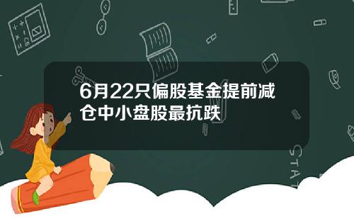 6月22只偏股基金提前减仓中小盘股最抗跌