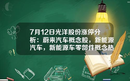 7月12日光洋股份涨停分析：蔚来汽车概念股，新能源汽车，新能源车零部件概念热股-蔚来股票最新资讯