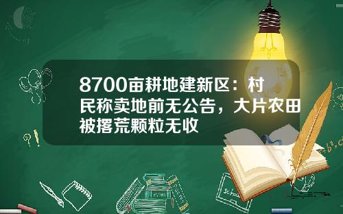 8700亩耕地建新区：村民称卖地前无公告，大片农田被撂荒颗粒无收