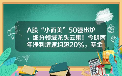 A股“小而美”50强出炉，细分领域龙头云集！今明两年净利增速均超20%，基金扎堆重仓这些股-基金多的股票