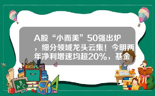 A股“小而美”50强出炉，细分领域龙头云集！今明两年净利增速均超20%，基金扎堆重仓这些股-小盘基金