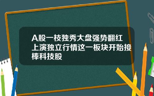 A股一枝独秀大盘强势翻红上演独立行情这一板块开始接棒科技股