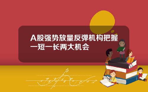 A股强势放量反弹机构把握一短一长两大机会