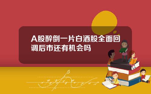 A股醉倒一片白酒股全面回调后市还有机会吗