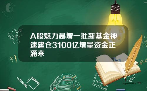 A股魅力暴增一批新基金神速建仓3100亿增量资金正涌来