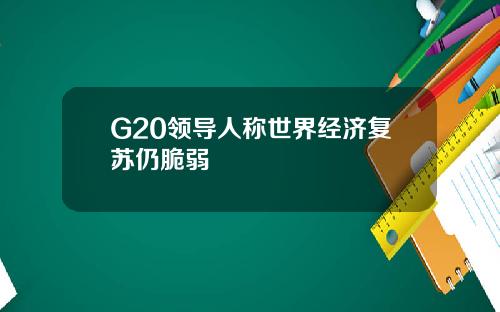 G20领导人称世界经济复苏仍脆弱
