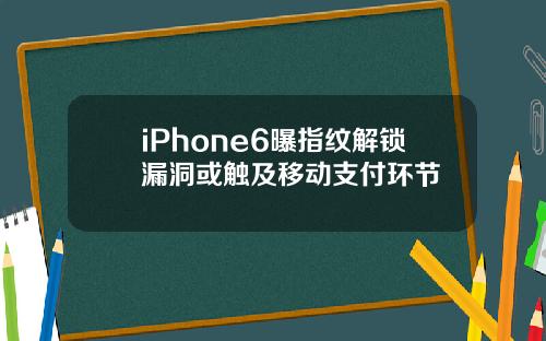 iPhone6曝指纹解锁漏洞或触及移动支付环节