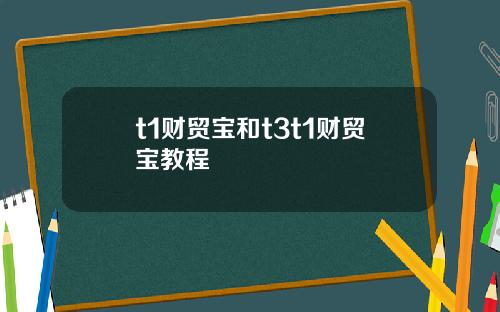 t1财贸宝和t3t1财贸宝教程
