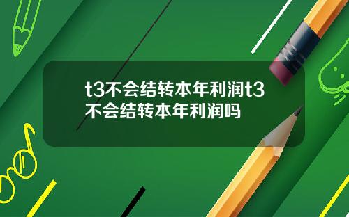 t3不会结转本年利润t3不会结转本年利润吗