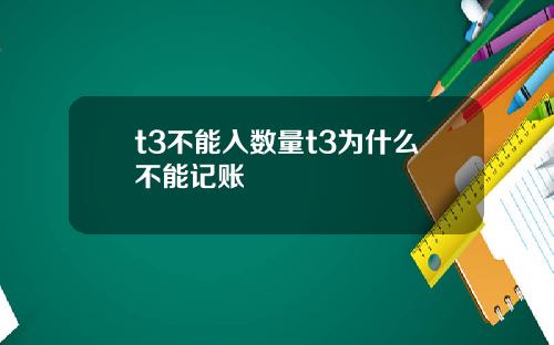 t3不能入数量t3为什么不能记账