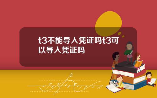 t3不能导入凭证吗t3可以导入凭证吗
