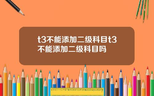 t3不能添加二级科目t3不能添加二级科目吗