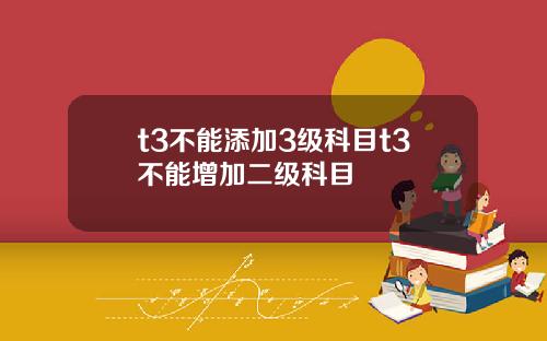 t3不能添加3级科目t3不能增加二级科目
