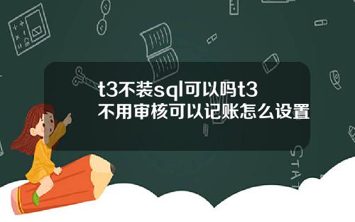 t3不装sql可以吗t3不用审核可以记账怎么设置