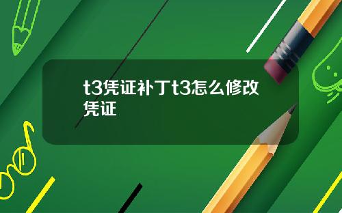 t3凭证补丁t3怎么修改凭证