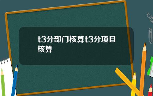 t3分部门核算t3分项目核算