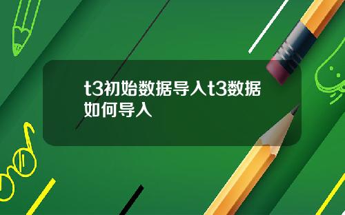 t3初始数据导入t3数据如何导入