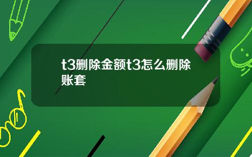 t3删除金额t3怎么删除账套