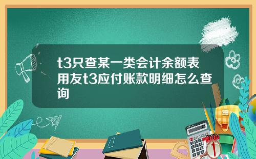 t3只查某一类会计余额表用友t3应付账款明细怎么查询
