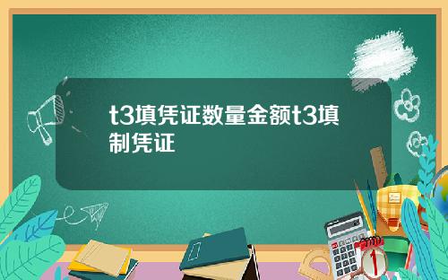 t3填凭证数量金额t3填制凭证