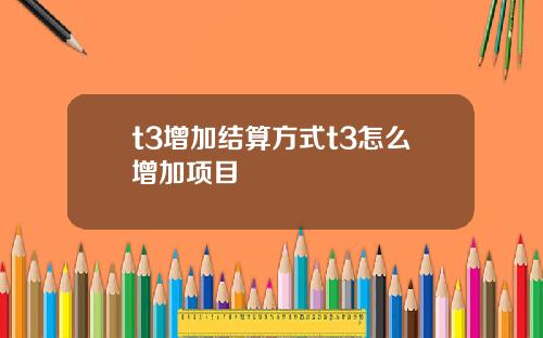 t3增加结算方式t3怎么增加项目