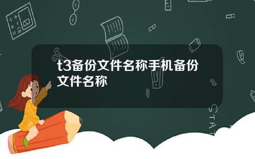 t3备份文件名称手机备份文件名称