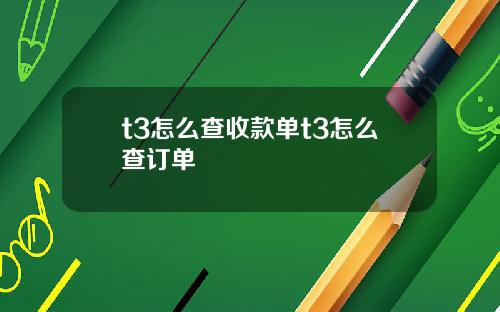 t3怎么查收款单t3怎么查订单