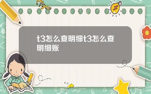t3怎么查明细t3怎么查明细账