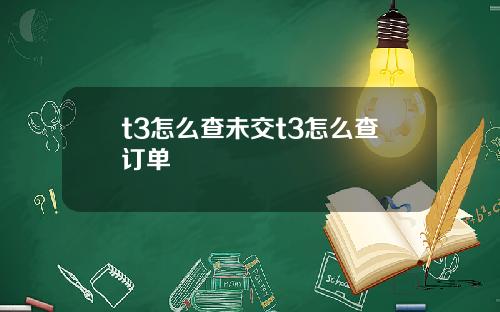 t3怎么查未交t3怎么查订单