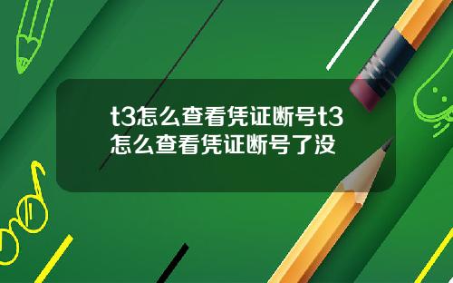 t3怎么查看凭证断号t3怎么查看凭证断号了没