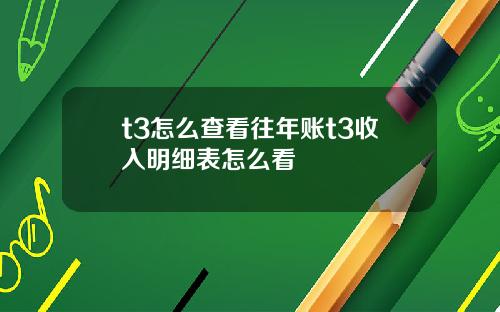 t3怎么查看往年账t3收入明细表怎么看