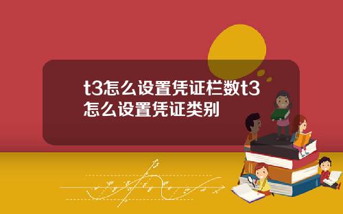 t3怎么设置凭证栏数t3怎么设置凭证类别