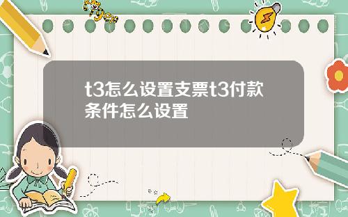t3怎么设置支票t3付款条件怎么设置