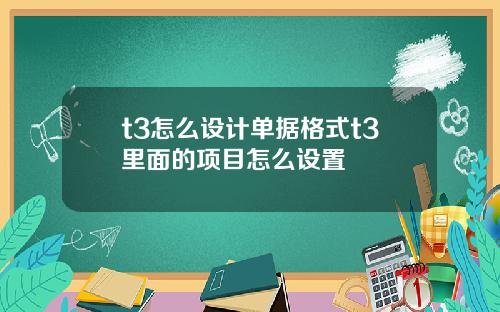 t3怎么设计单据格式t3里面的项目怎么设置