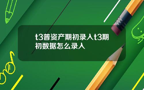 t3普资产期初录入t3期初数据怎么录入