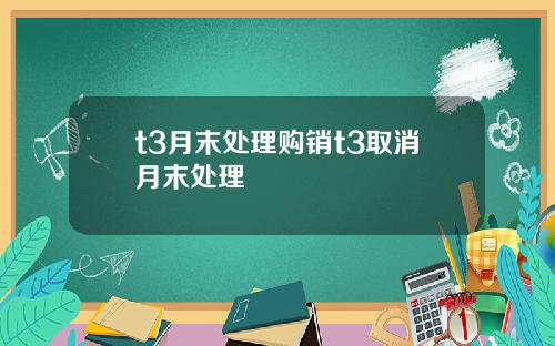 t3月末处理购销t3取消月末处理