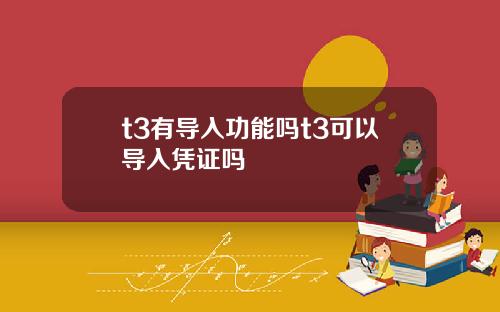 t3有导入功能吗t3可以导入凭证吗